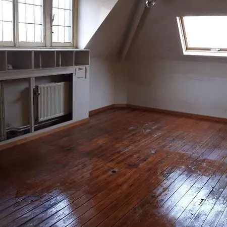 Homestay Eenvoudige Ruime Kamer Toplocatie Ghent